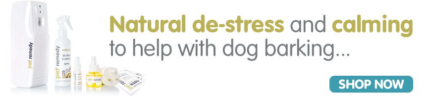 Pet Remedy Shop Now banner