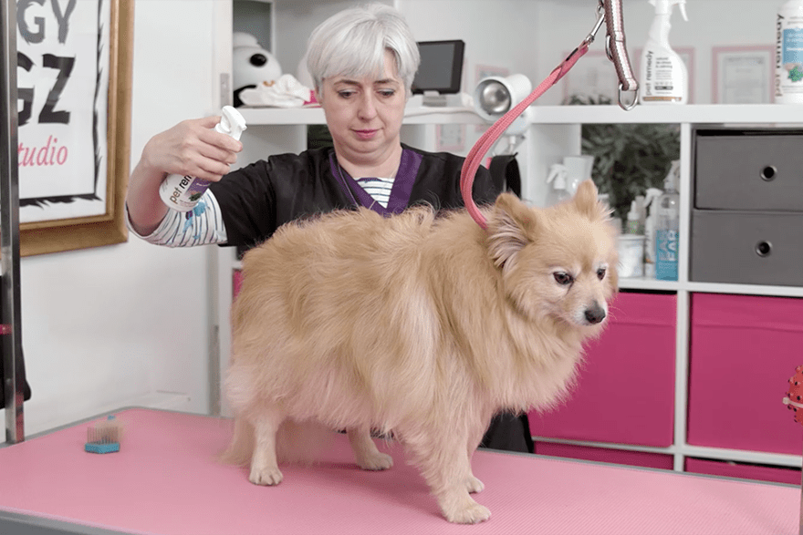 Pet Remedy Dog Grooming Pre Wash
