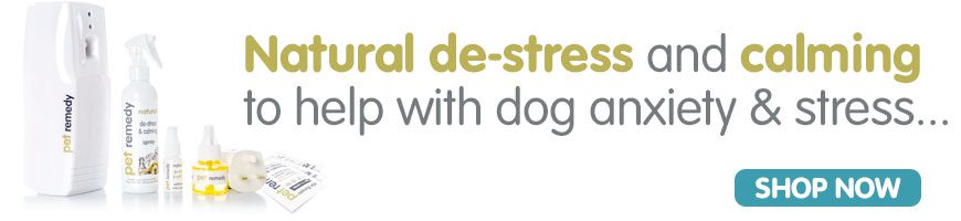 Pet Remedy natural calming for dog anxiety