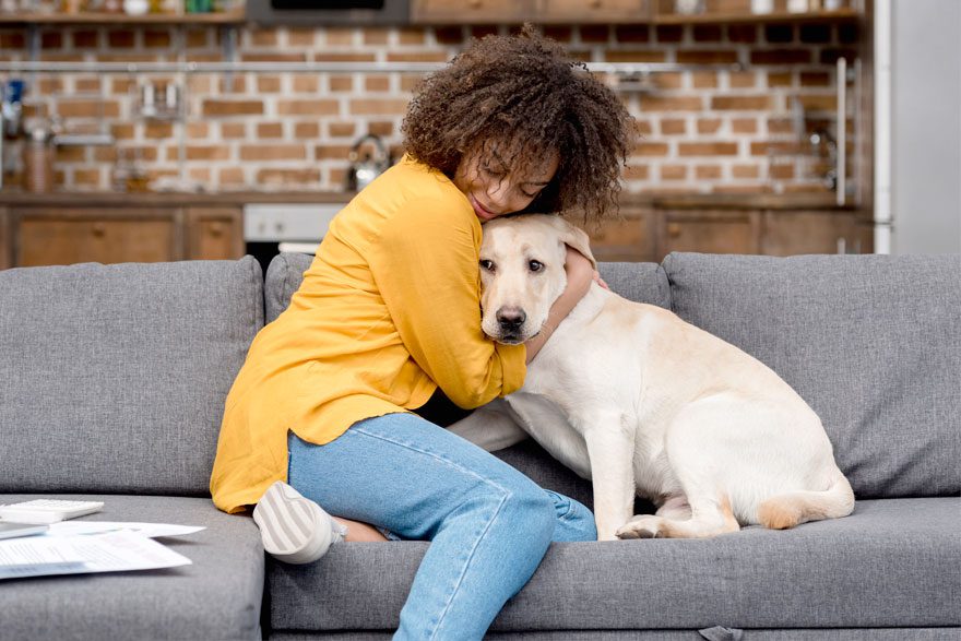 Dog seperation anxiety