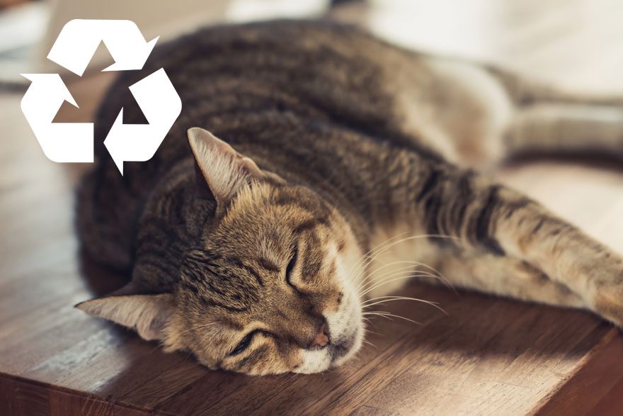 Natural calming for cats