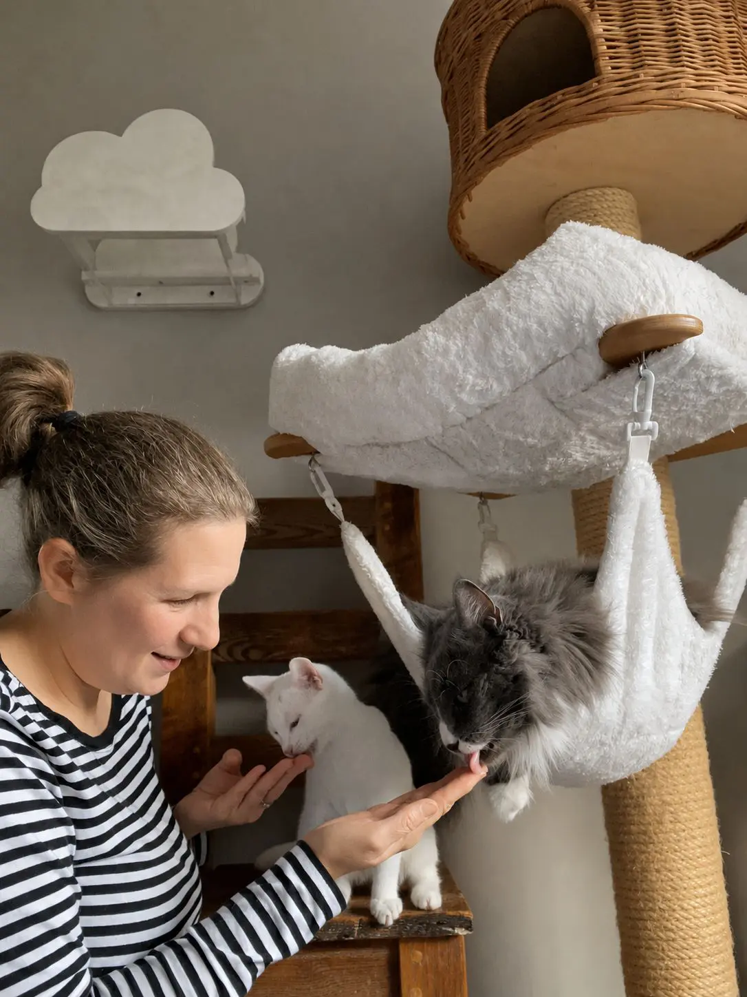 Cat whisperer whose first word was ‘cat’ joins pioneering pet advice service