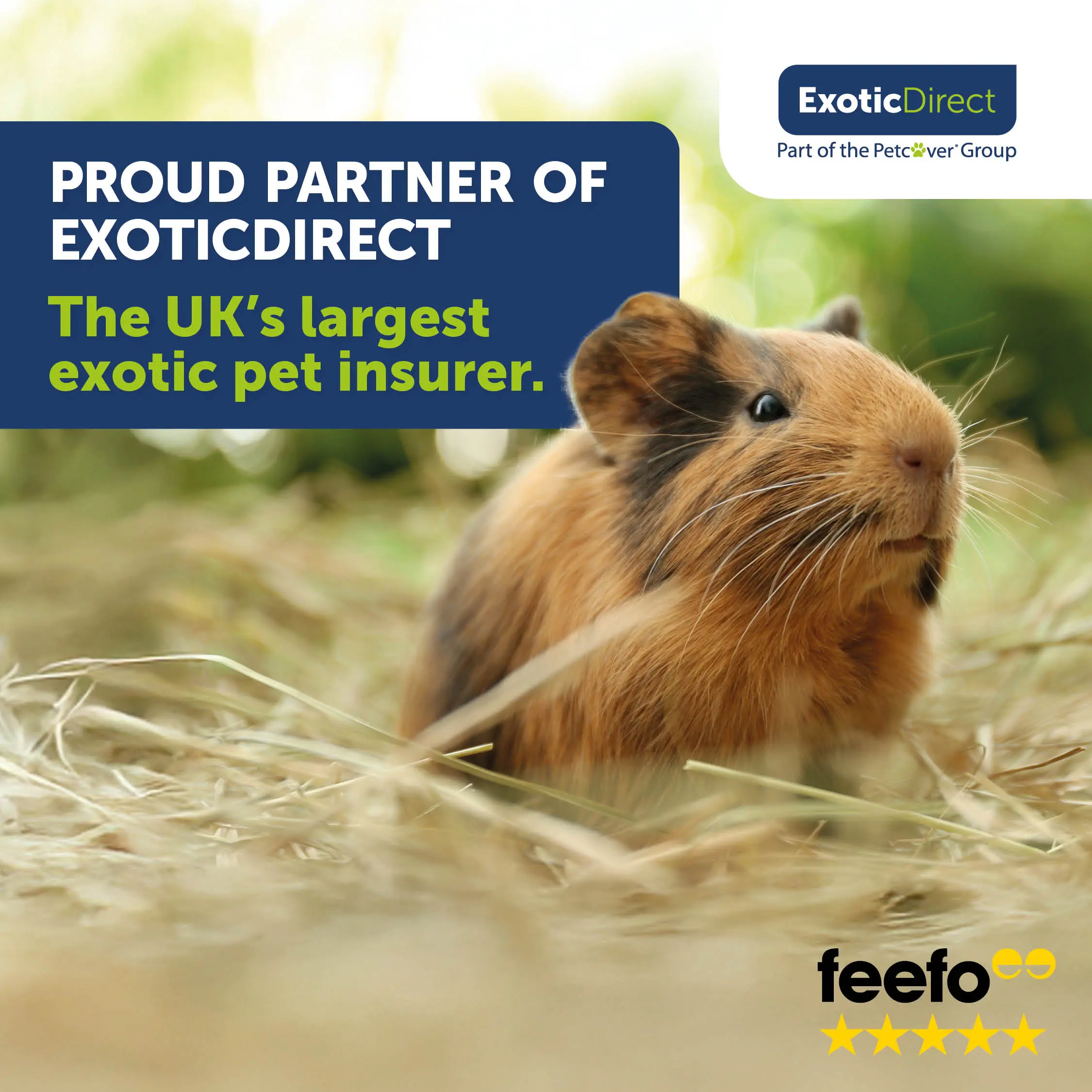 Small Mammal ED Partnership Social 1080 x 1080 exotic direct rabbit and small mammal insurance