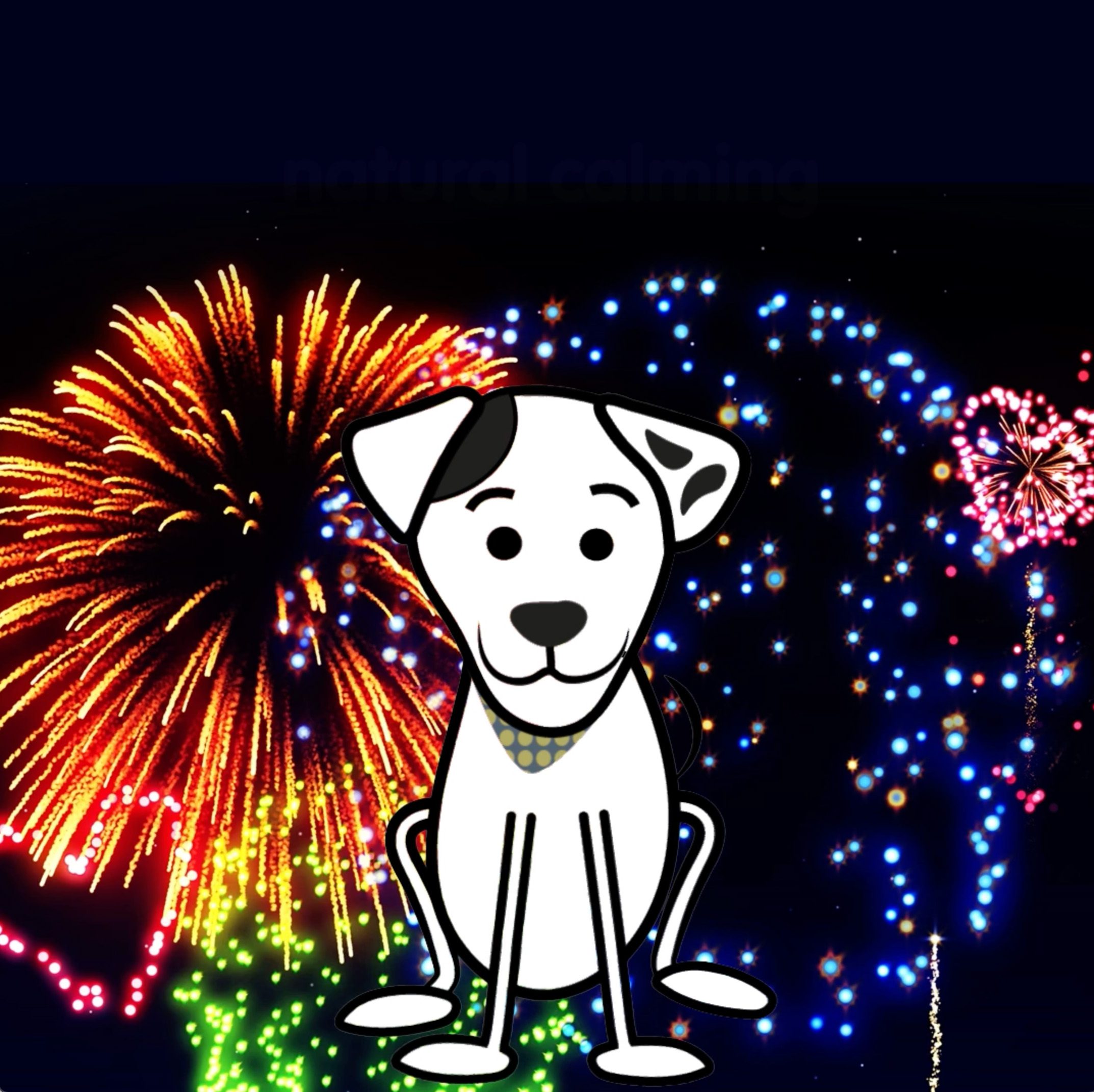 calming dogs during fireworks season
