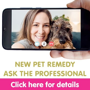 ask-pro-mob-banner
